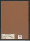 Trinacria heibergii Kitt. (de-Toni-Nr.: Genus 119, Species 3407) Zeichnungen Sammlung Grunow Mappe 03615 (Herbarium_W_Grunow_drawings_Folder_03615)